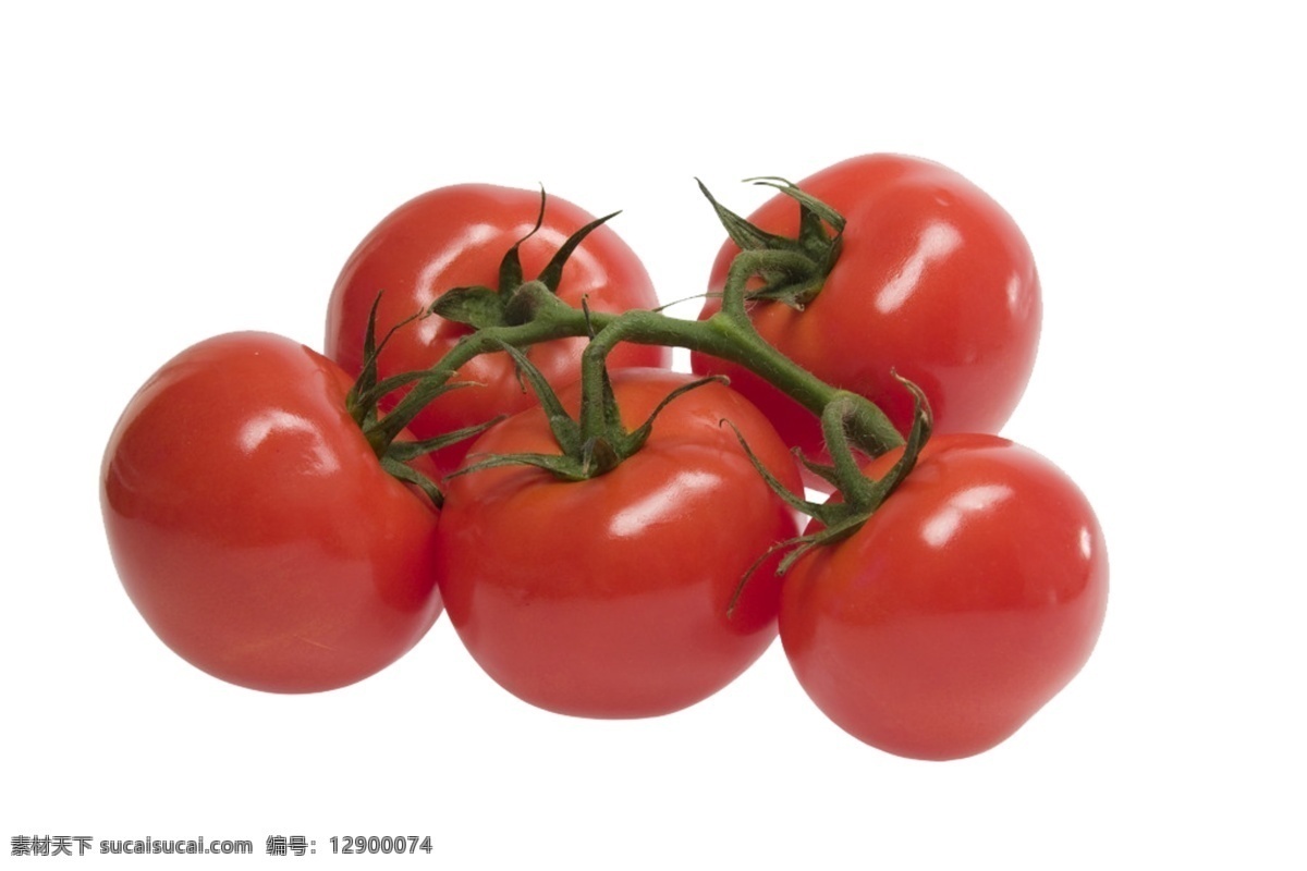 番茄素材 免抠 免抠西红柿 白色