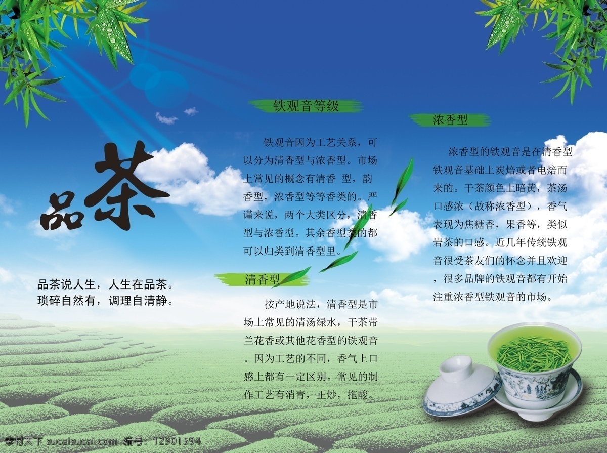 dm宣传单 茶 广告设计模板 三折页 铁观音 乌龙茶 宣传单 源文件 三 折页 模板下载 铁观音三折页 psd源文件
