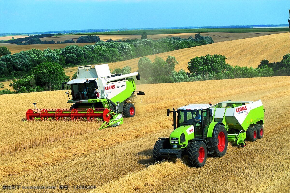 小麦收割机 小麦 收割机 农场 金黄 秋天 成熟 农业生产 现代科技