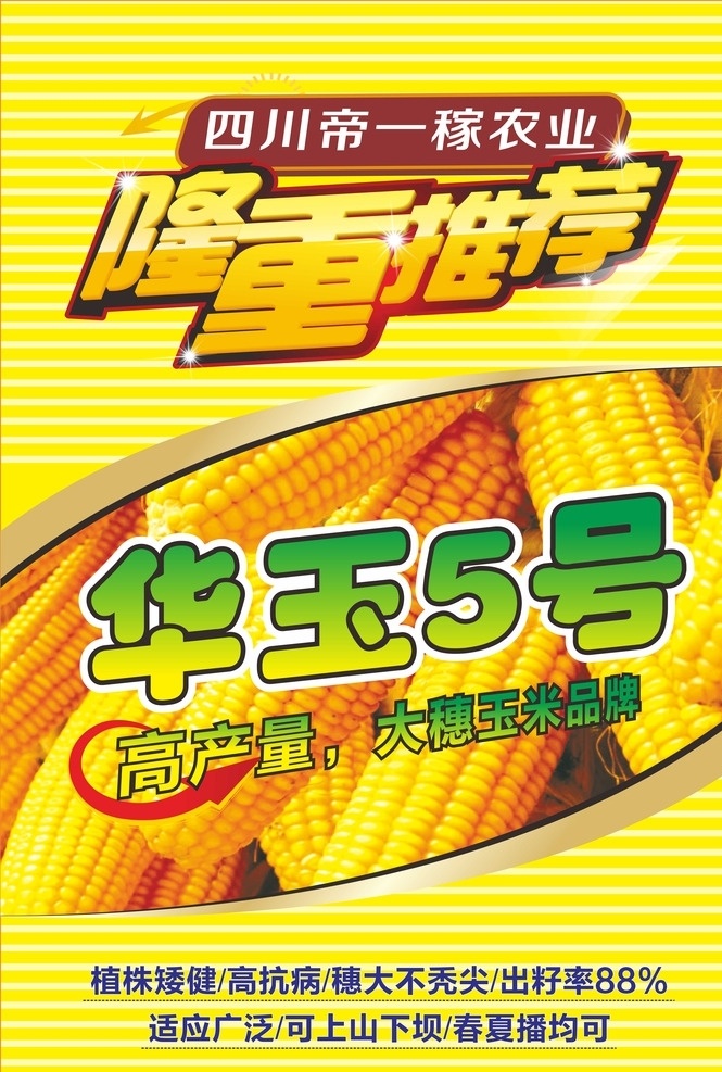 玉米种植海报 农业 平昌产业 种植 玉米 包谷 宣传海报 隆重推出 特色产业 新品推荐 品种 水果蔬菜农业