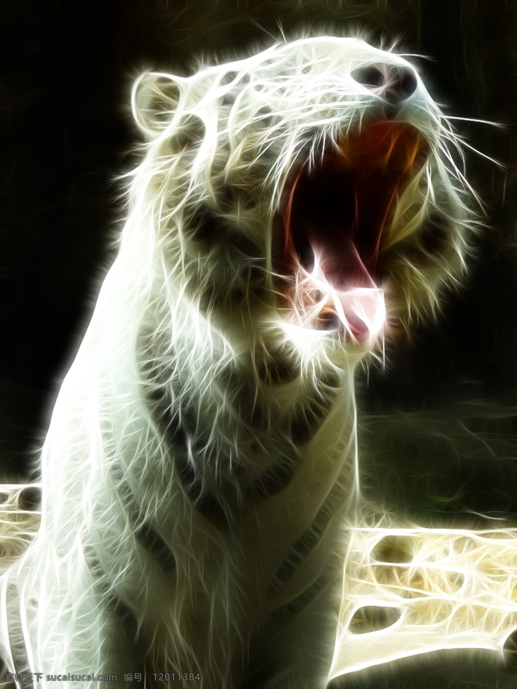 白虎 咆哮 唯美 光线 图 老虎 虎头 光线图 凶狠 凶残 霸气 侧脸 正面 野生动物 生物世界