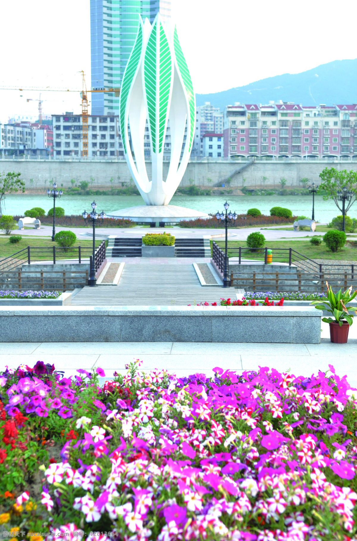 南安市标 公园 武荣公园 玉兰花 建筑摄影 建筑园林