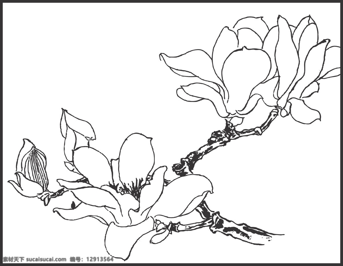 线条 矢量 装饰 插画 白描 植物 观赏 绘画 花卉白描图 文化艺术 绘画书法