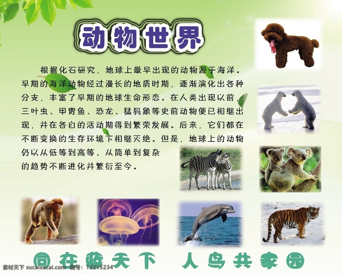 保护动物 动物 动物世界 广告设计模板 源文件 展板 展板模板 模板下载 动物世界展板 动物世界海报 爱护动物展板 其他海报设计