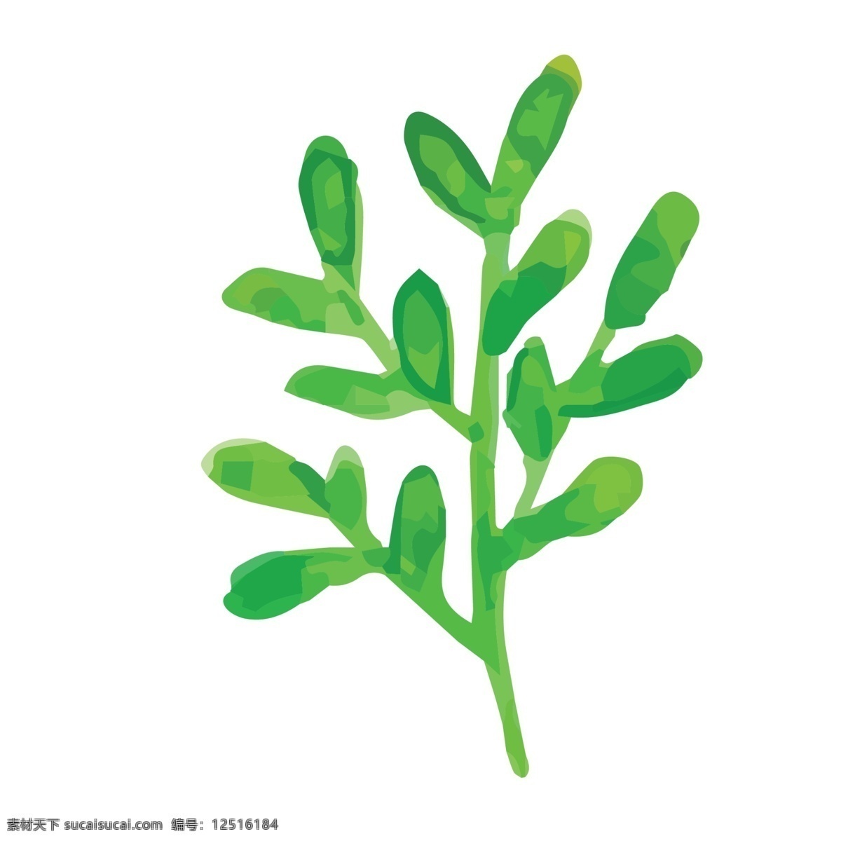 一根 树叶子 免 抠 图 枝叶子 绿色叶子 生态植物 植被生长 新鲜的植物 叶子生长 卡通手绘 手绘图案