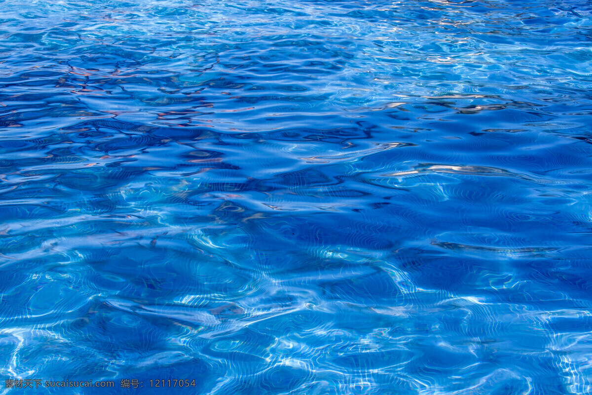 游泳池 建筑 清澈 树木 蓝天 水池 娱乐 水 蓝色水 蓝色水面 自然景观 自然风景