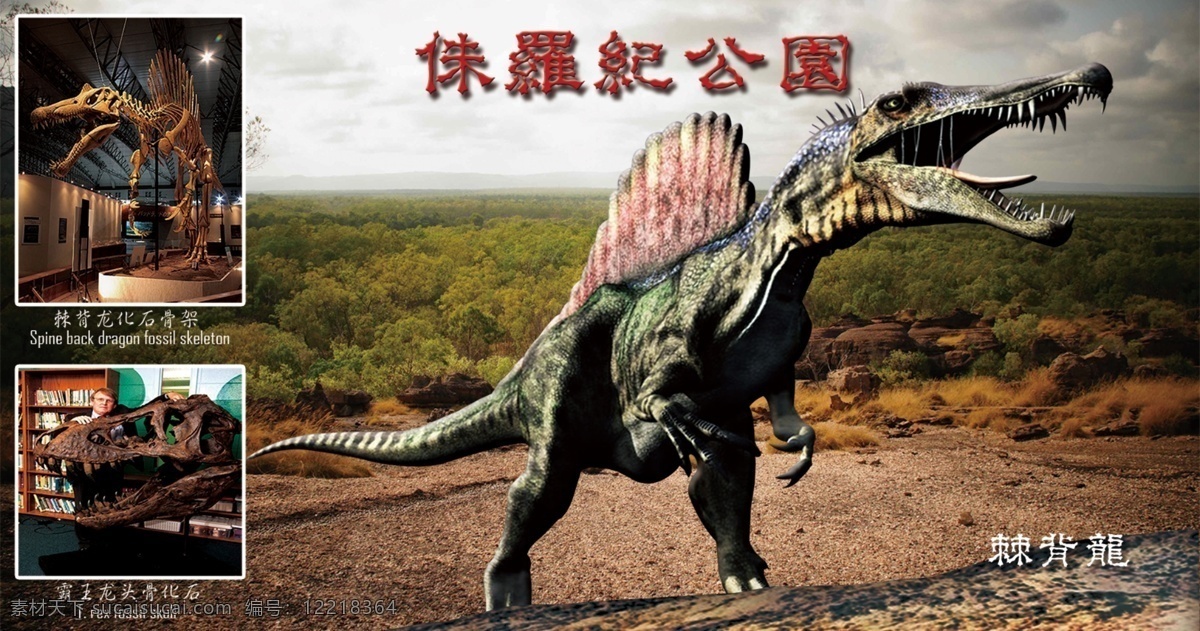 海报 彩页 百科恐龙 棘背龙 霸王龙 恐龙 化石 恐龙化石 食肉恐龙 海报杂志 分层