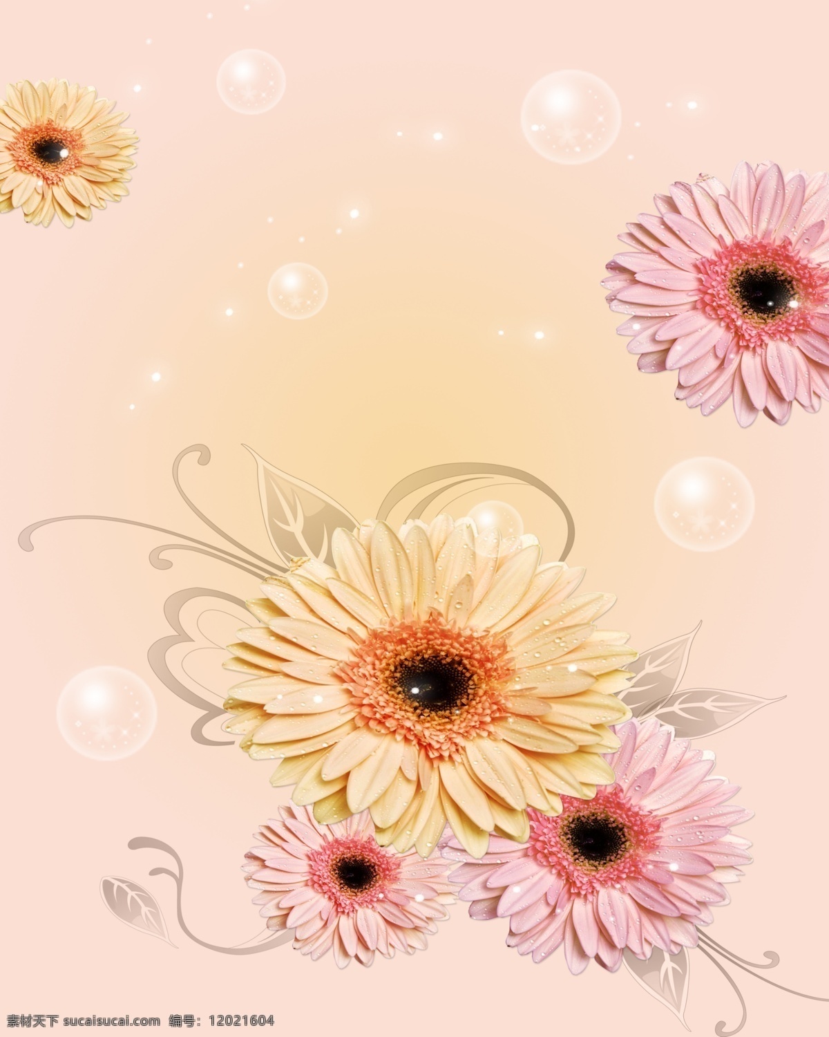 玻璃 壁纸 空间图片 设计图 生活百科 思维 空间 花纹 理 菊花 非洲菊 家居装饰素材 壁纸墙画壁纸
