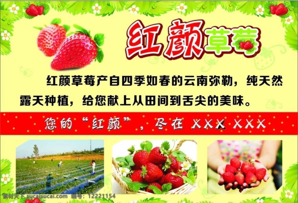 红颜草莓 介绍 树叶边框 背景