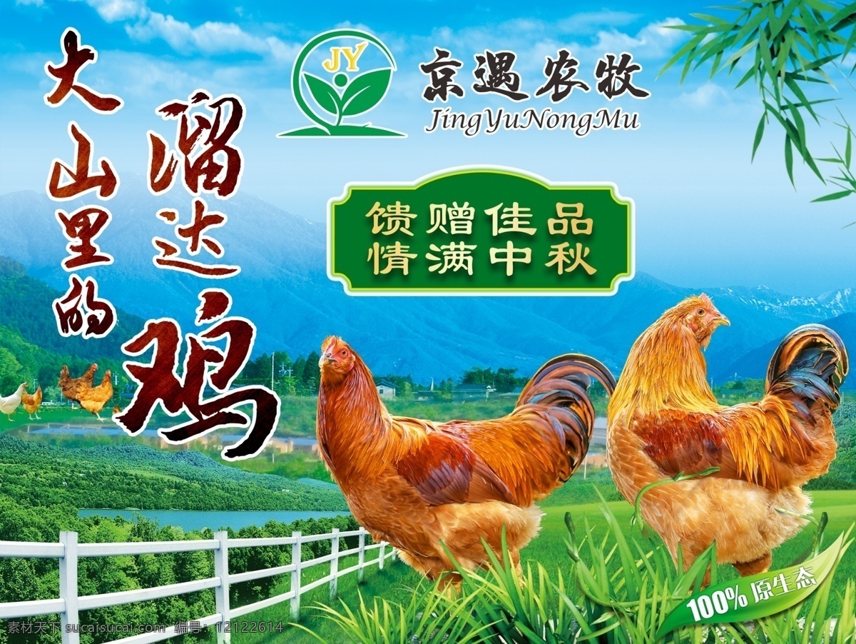 土鸡包装图片 土鸡 农场 包装 海报 生态 绿色 天然 包装标志