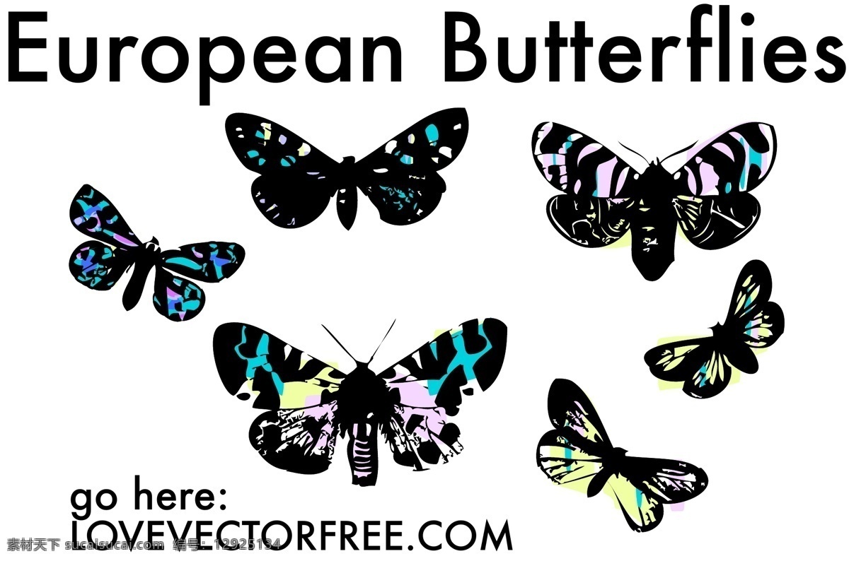 彩色玻璃蝴蝶 英文 european butterflies 黑色 紫色