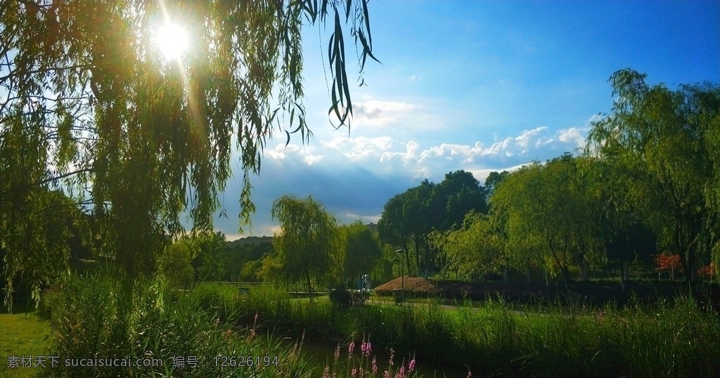 芜湖中央公园 芜湖 公园 中央公园 蓝天白云 太阳 风景 照片 自然景观 自然风景