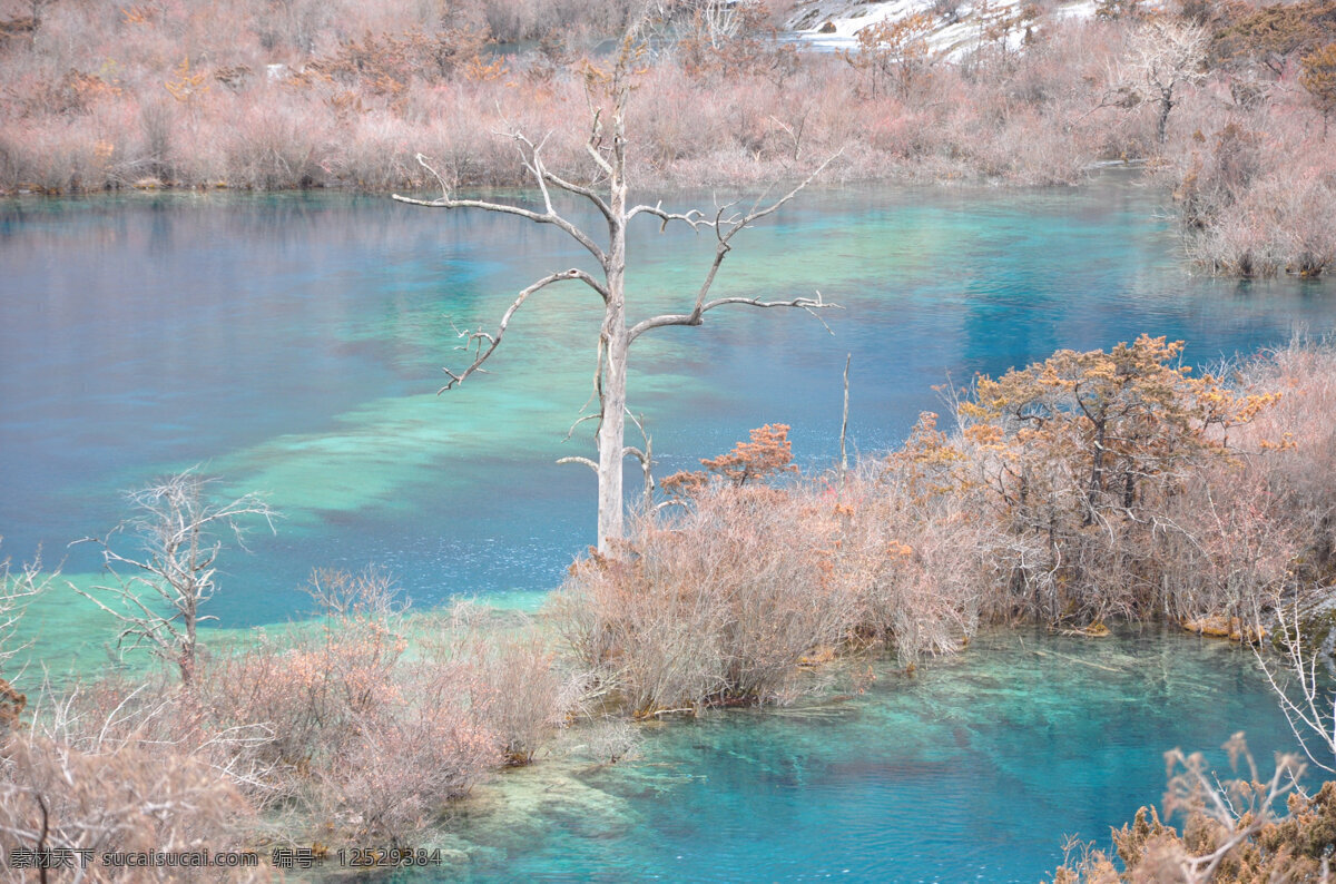 唯美 风景 风光 旅行 四川 九寨沟 自然 湖 旅游摄影 国内旅游