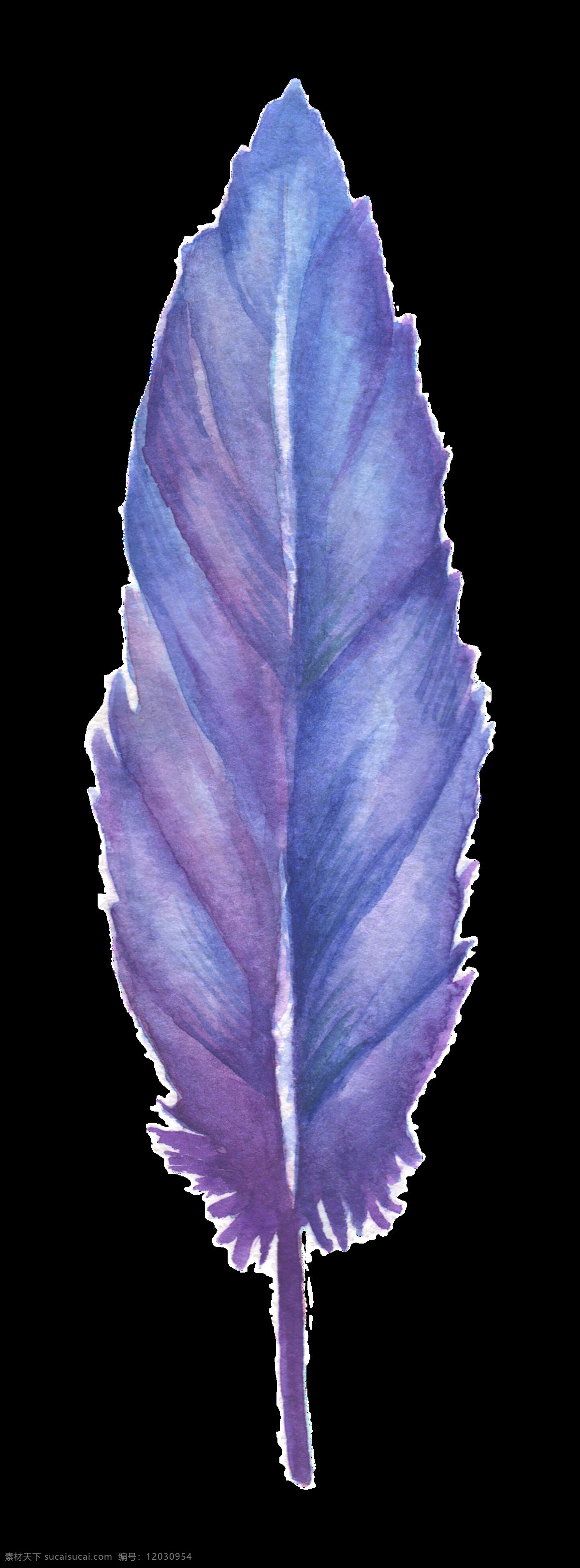 蓝紫 羽翼 卡通 透明 羽毛 样本 透明素材 免扣素材 装饰图案