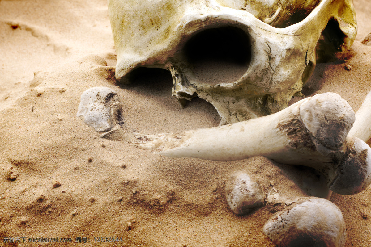 沙子 中 人类 头骨 灭亡 科幻 尸骨 其他类别 环境家居