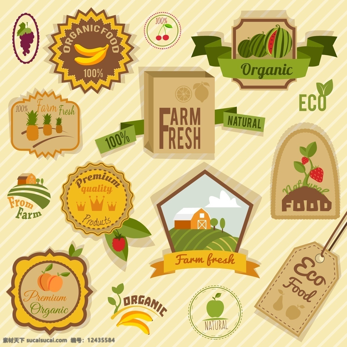 农场 徽章 收集 商标 标签 自然 邮票 贴纸 风景 蔬菜 标识 生态 有机 印章 农民 环境 符号