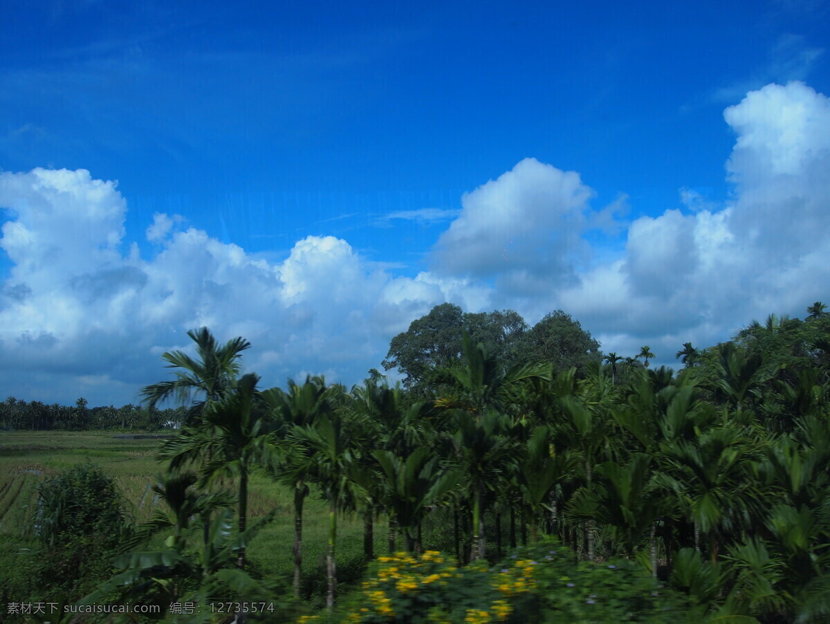 海南风景 海南 风景 美丽景色 蓝天 云 树 自然景观 自然风景