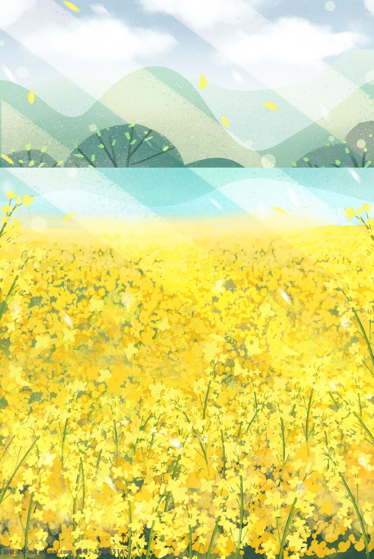 黄色 植物 油菜花 背景 装饰 大自然 风景 光芒 盛开 花朵 水墨 折射