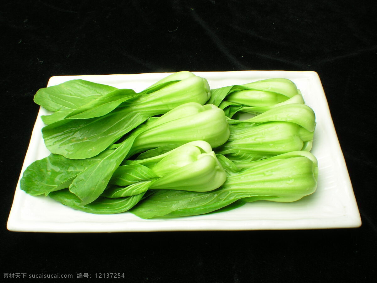 油菜.jp 食品 菜谱 菜肴 菜谱图片 菜 食物 美食摄影 调料 诱人美食 家常菜 白底图 中国美食 蔬菜 日韩美食 美食图片 食材原料 传统美食 炖品汤羹 餐饮美食 生活百科 美食