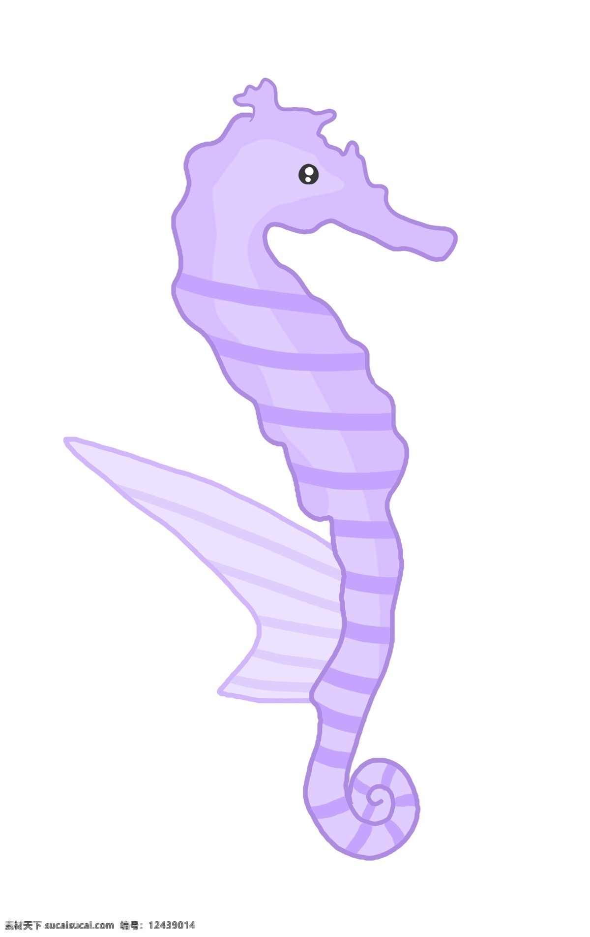 紫色海马生物 紫色 海马 动物
