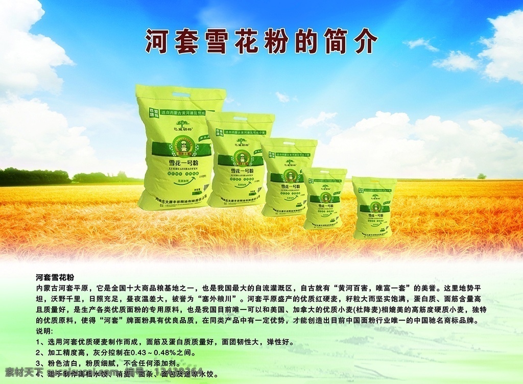河套雪花粉 河套 雪花粉 粉 面粉 简介 麦子 麦田 麦浪 金黄色 蓝天 白云 蓝天白云 绿色 绿底 展板 背景图 背景墙 海报 图案 分层