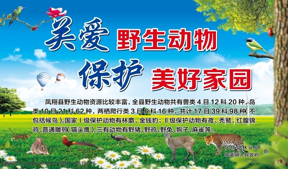 关爱 保护 野生动物 保护野生动物 美好家园 动物 蓝天白云 绿色草地