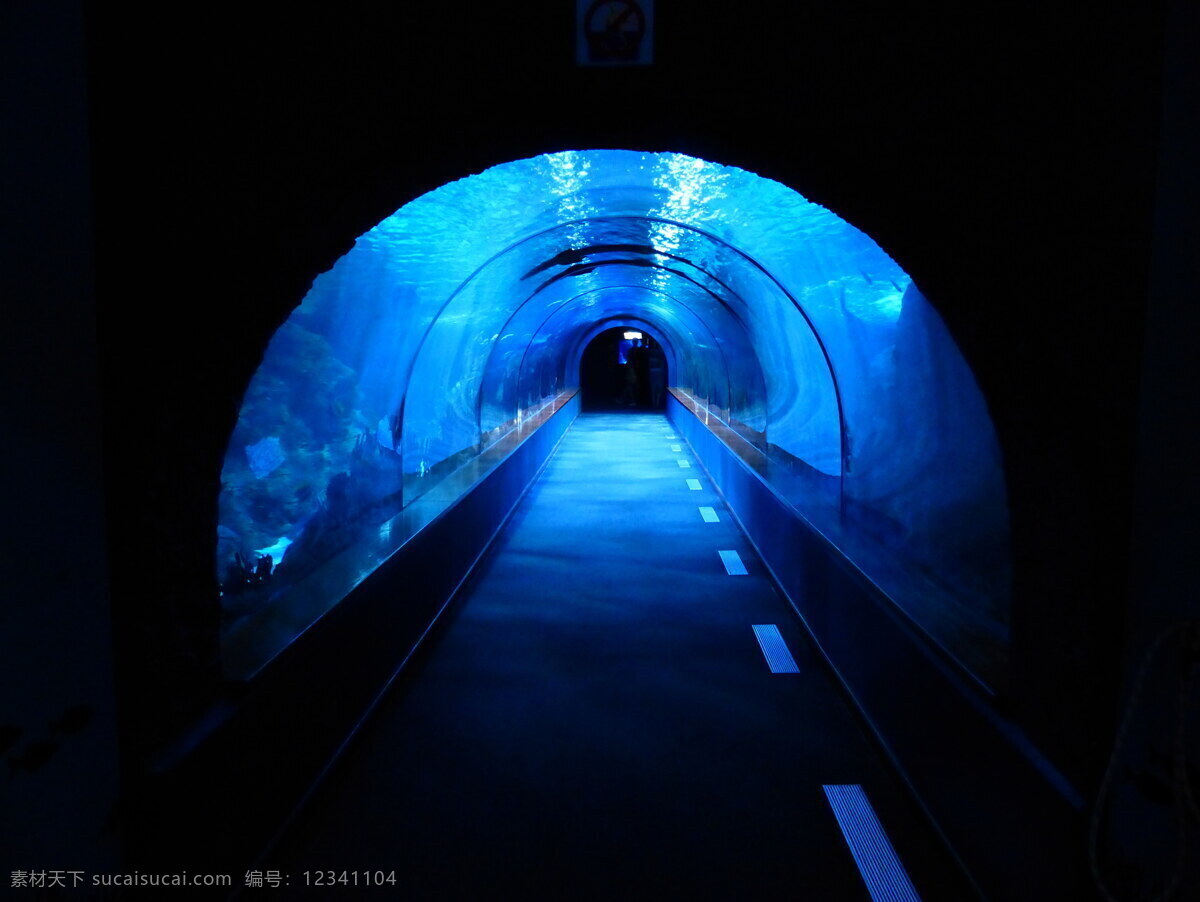 上海 海洋 水族馆 高清 上海海洋馆 海底隧道 大鲨鱼 鲸鲨