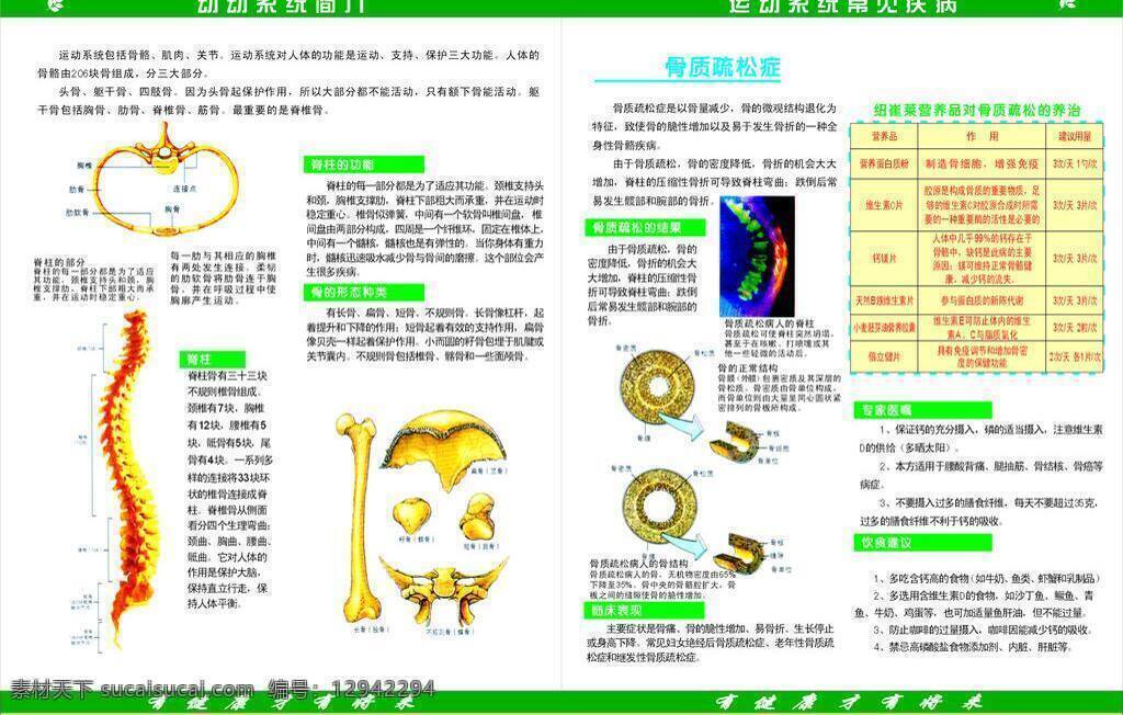 安利 保健品 表格 疾病 绿色 人体骨骼图 生活百科 医疗保健 医学 养 治 养治 骨质疏松证 矢量 海报 其他海报设计