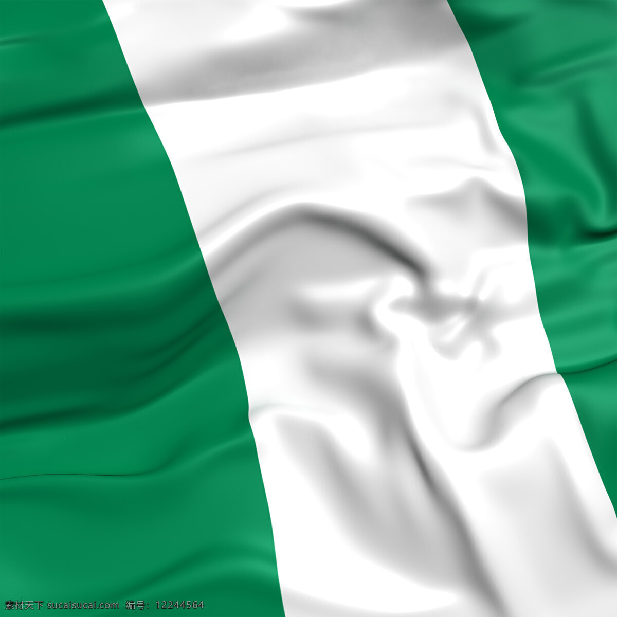 尼日利亚国旗 白色