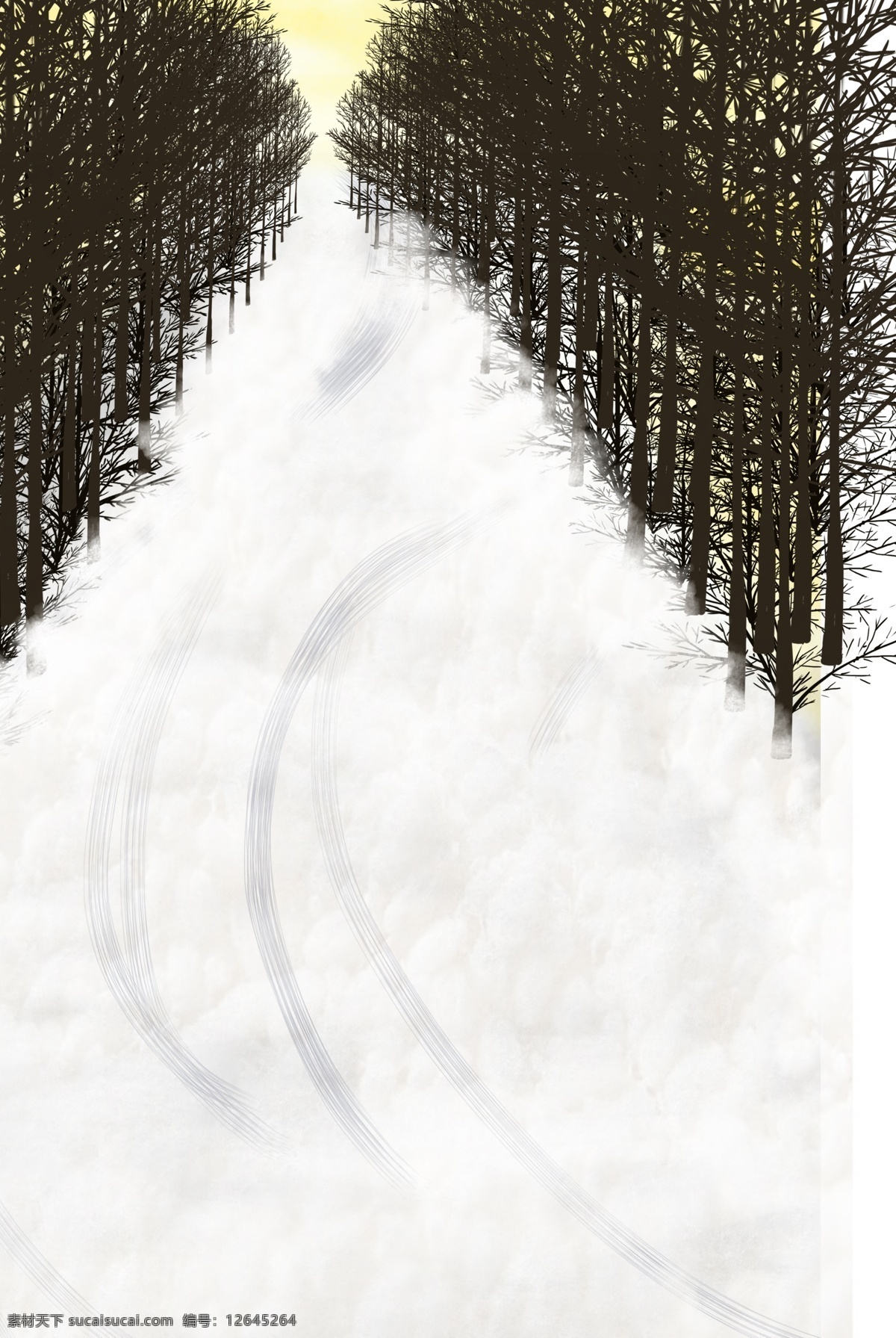 白色 冬季 雪景 背景 创意 季节 植物 大树 自然 环境 生长