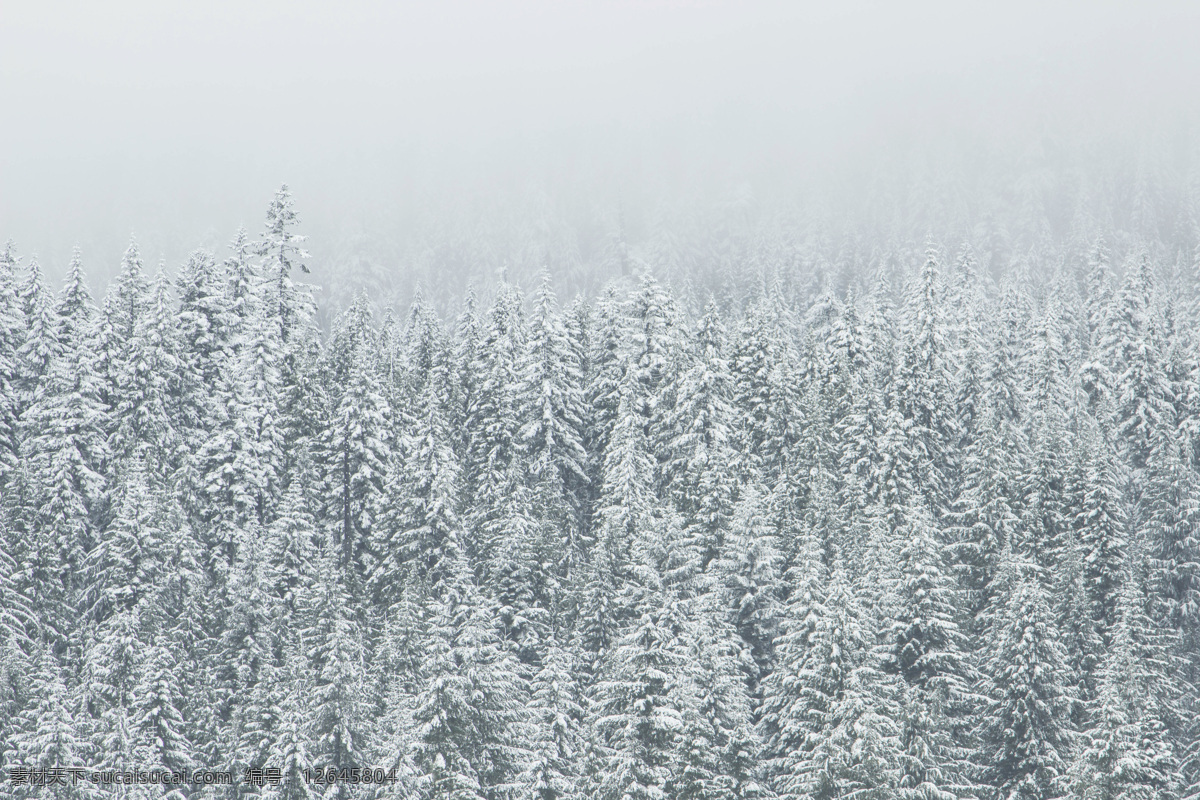 雪景 大自然 雪 雪山 天空 树木 河流 背景图 装饰 旅游 蓝云 白天 山 光线 冬天 冬季 雾 雪花 树叶 自然景观 自然风景