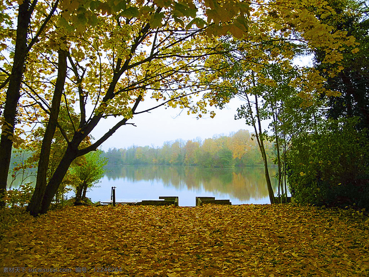 唯美 秋天 湖边 风景 湖泊 树木 树林 树叶 落叶