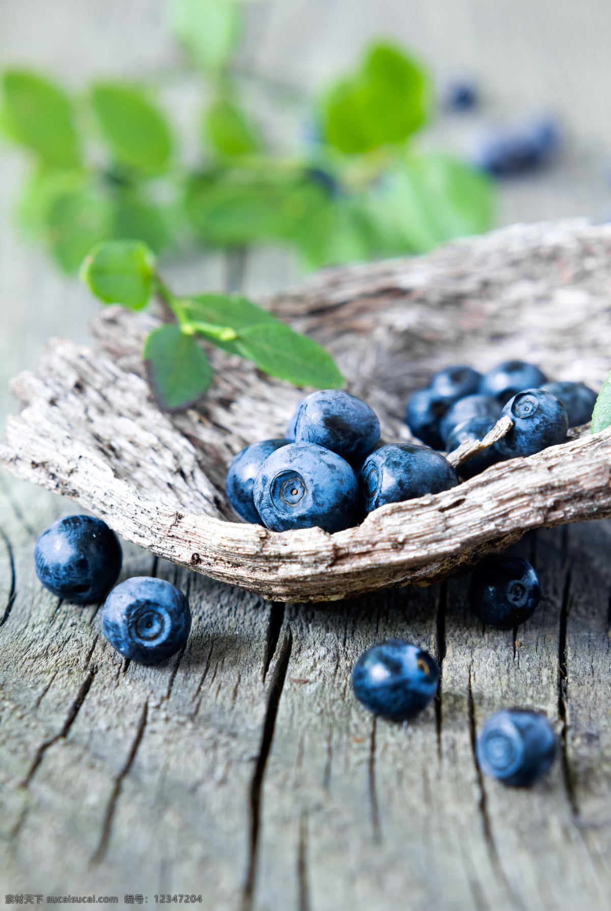 新鲜蓝莓果实 蓝莓 新鲜蓝莓 新鲜水果 水果摄影 果实 浆果 水果蔬菜 餐饮美食 灰色