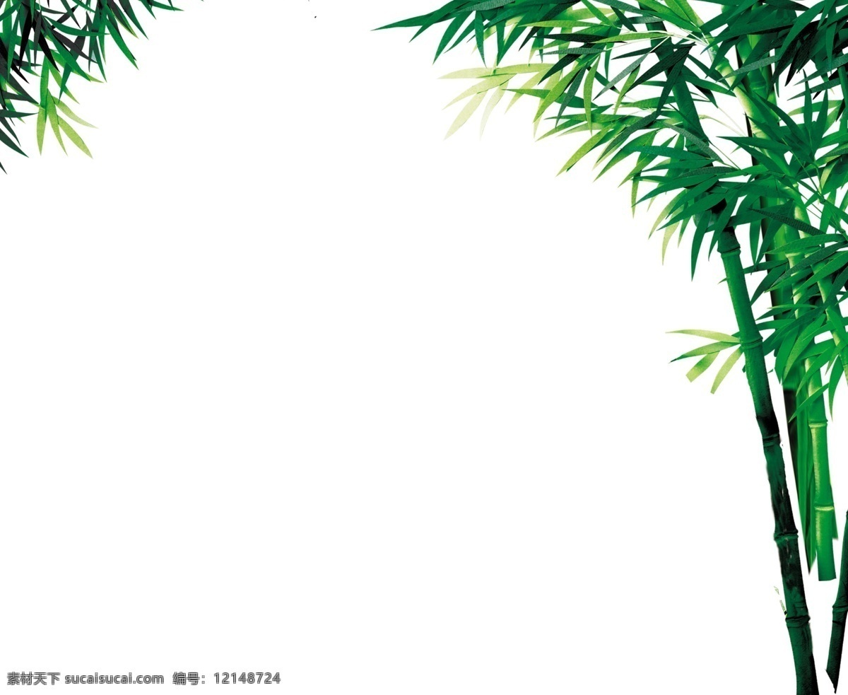 竹子 矢量素材 竹林 装饰素材 底纹边框 背景底纹