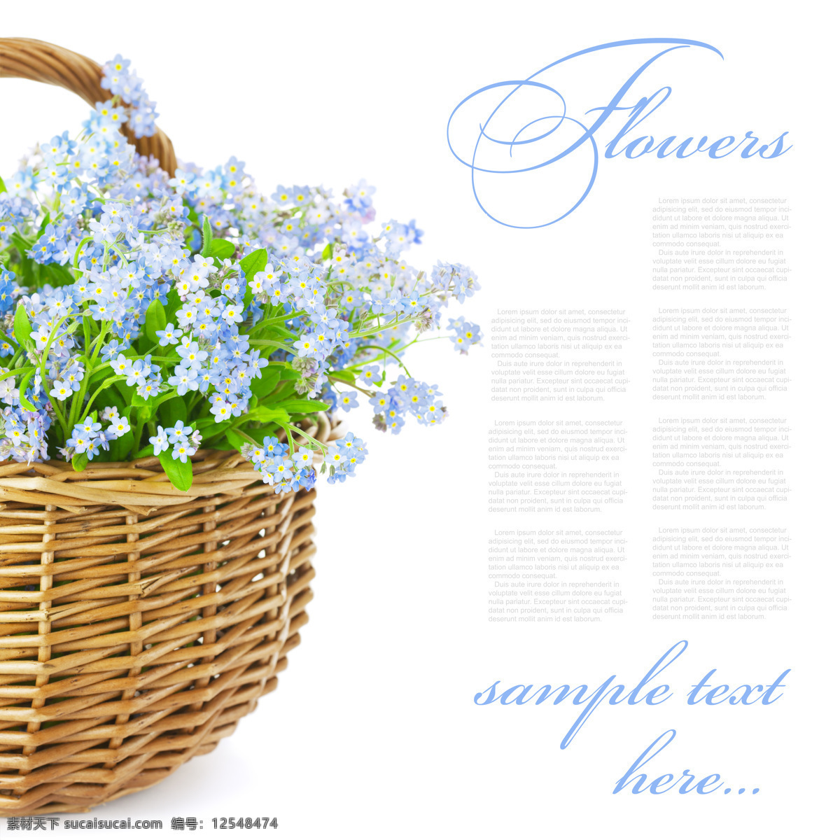 美丽 花篮 美丽花篮 美丽鲜花 花卉 鲜花摄影 漂亮花朵 手提篮子 花草树木 生物世界