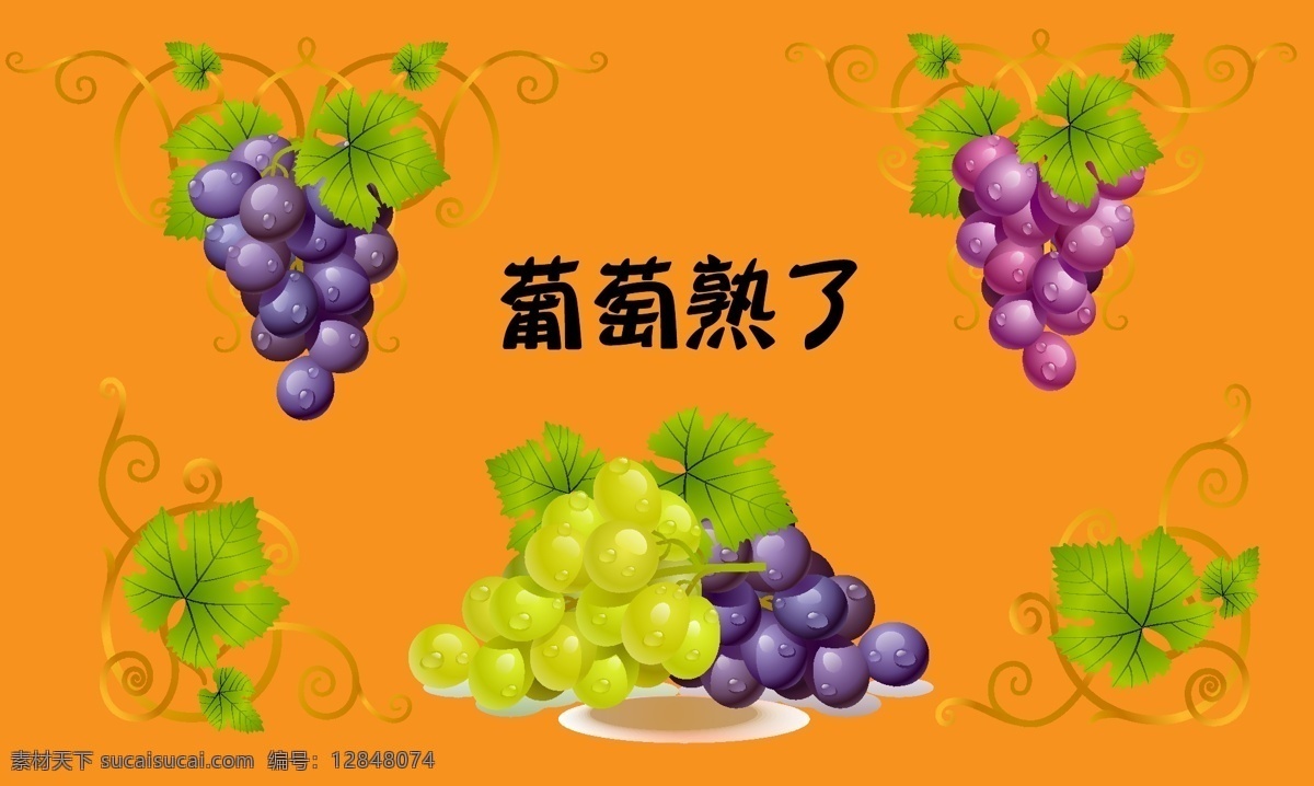 葡萄 熟 橙色背景 绿叶 生物世界 水果 矢量 模板下载 葡萄熟了 矢量图 日常生活