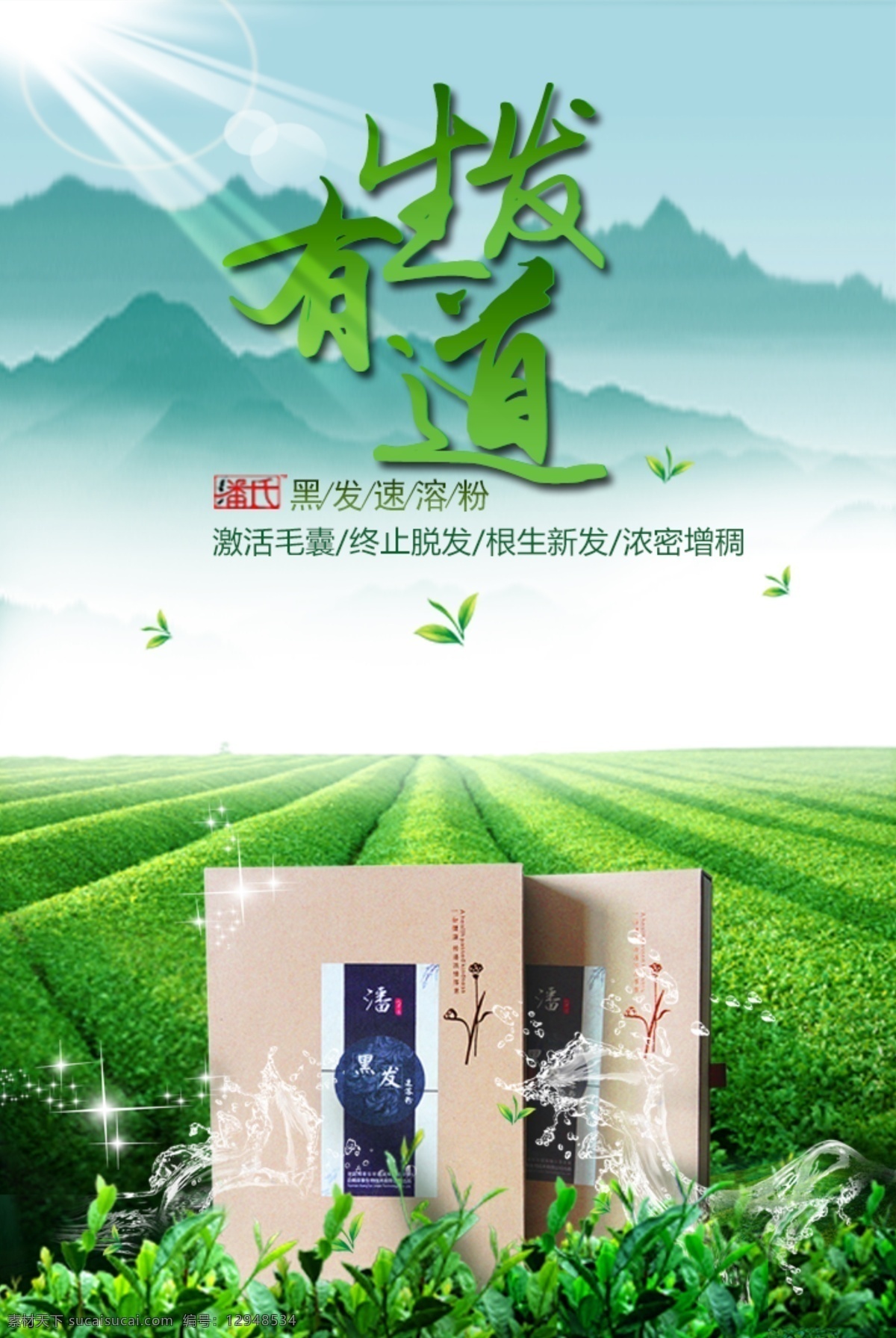 清新 生发 用品 海报 分层 生发用品海报 生发有道 染发用品 春天海报 春天背景 绿叶 茶园 水墨背景