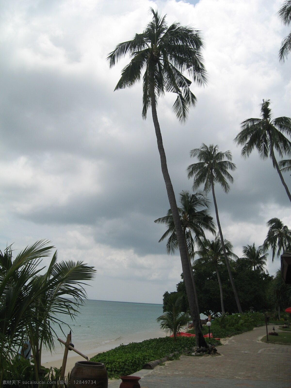 棕榈树 海滩 普吉岛 沙滩 泰国 椰子树 自然风景 自然景观 皮皮岛 psd源文件