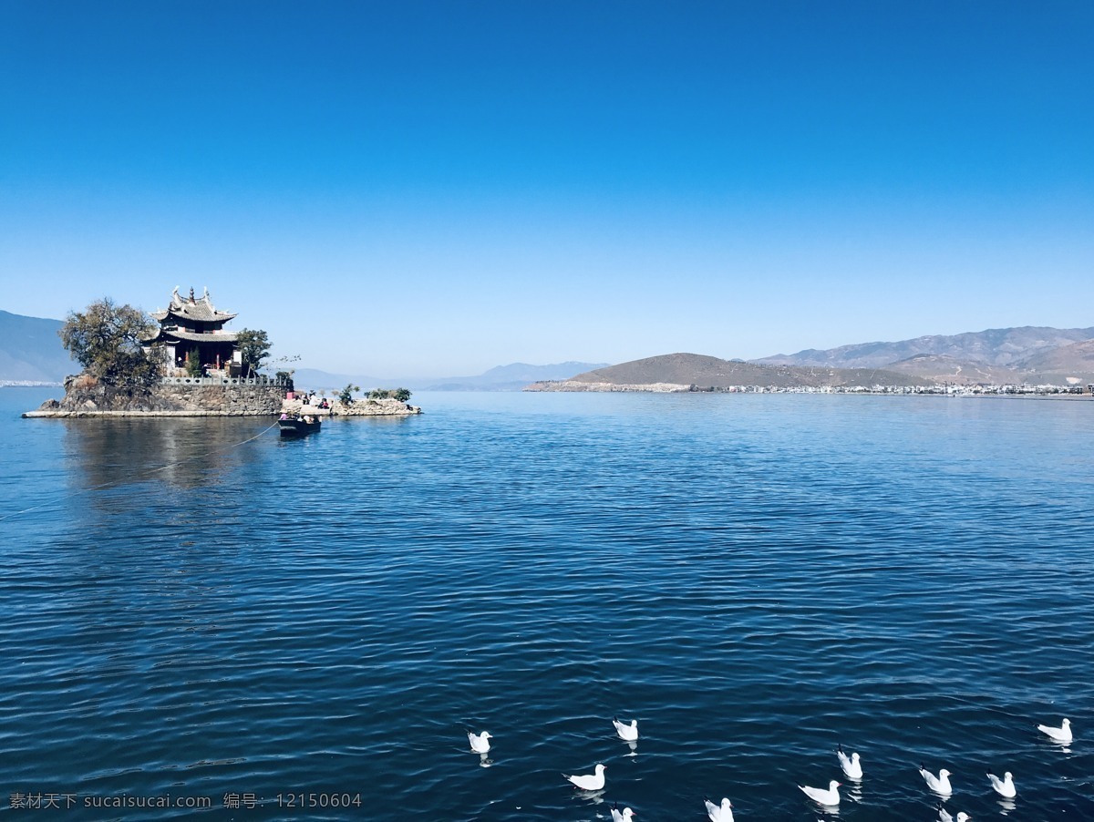 洱海 大理 海鸥 蓝天 白云 风景 自然 湖水 自然景观 自然风景