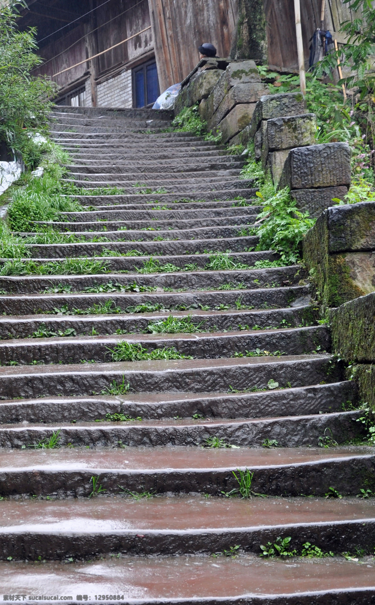 柳江风景