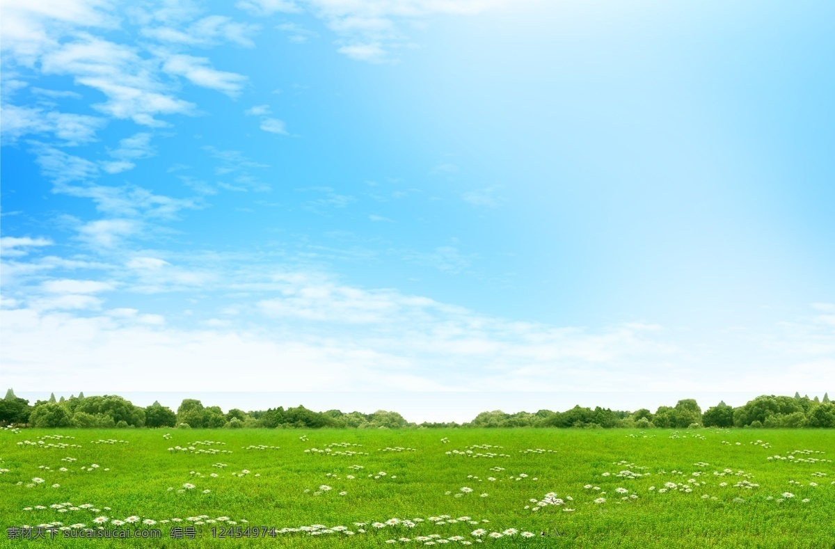 草地 蓝天图片 草地蓝天 蓝天白云 蓝天草地 风景 草地风景 景色 景观 户外 自然 绿色 蓝天 白云 草 绿草地 绿草 树 树木 落叶 花 白花 蝴蝶 瓢虫 种植园 农场 牧场 田园 园林 背景 展板 模版 宣传栏 海报 环保 清新 春天 空旷 阳光 广告 分层 源文件