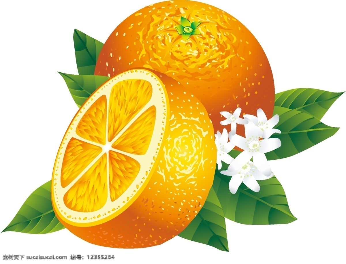 橙子水果 矢量图片 设计素材 水果主题 手绘水果 水彩水果 矢量 水果 水果素材 新鲜水果 矢量水果素材 卡通水果素材 卡通水果 橙子 橙汁 饮料 横切面 香橙 橙子矢量图 橘子 柑橘 甜橙 桔子 橙子图片 卡通橙子素材 卡通橙子 橙子素材 矢量橙子素材 矢量橙子 手绘橙子 手绘免扣素材
