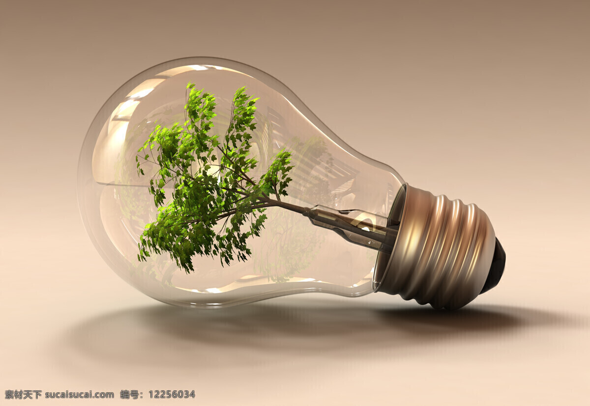 灯泡 里 大树 节能 环保 环保主题 生活用品 生活百科