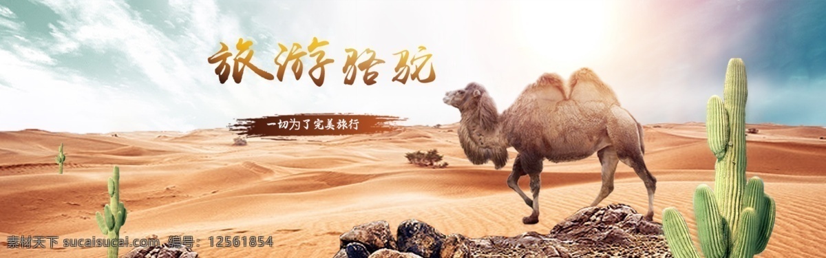 骆驼 旅游 宣传 banner 旅游骆驼 沙漠 沙漠旅行