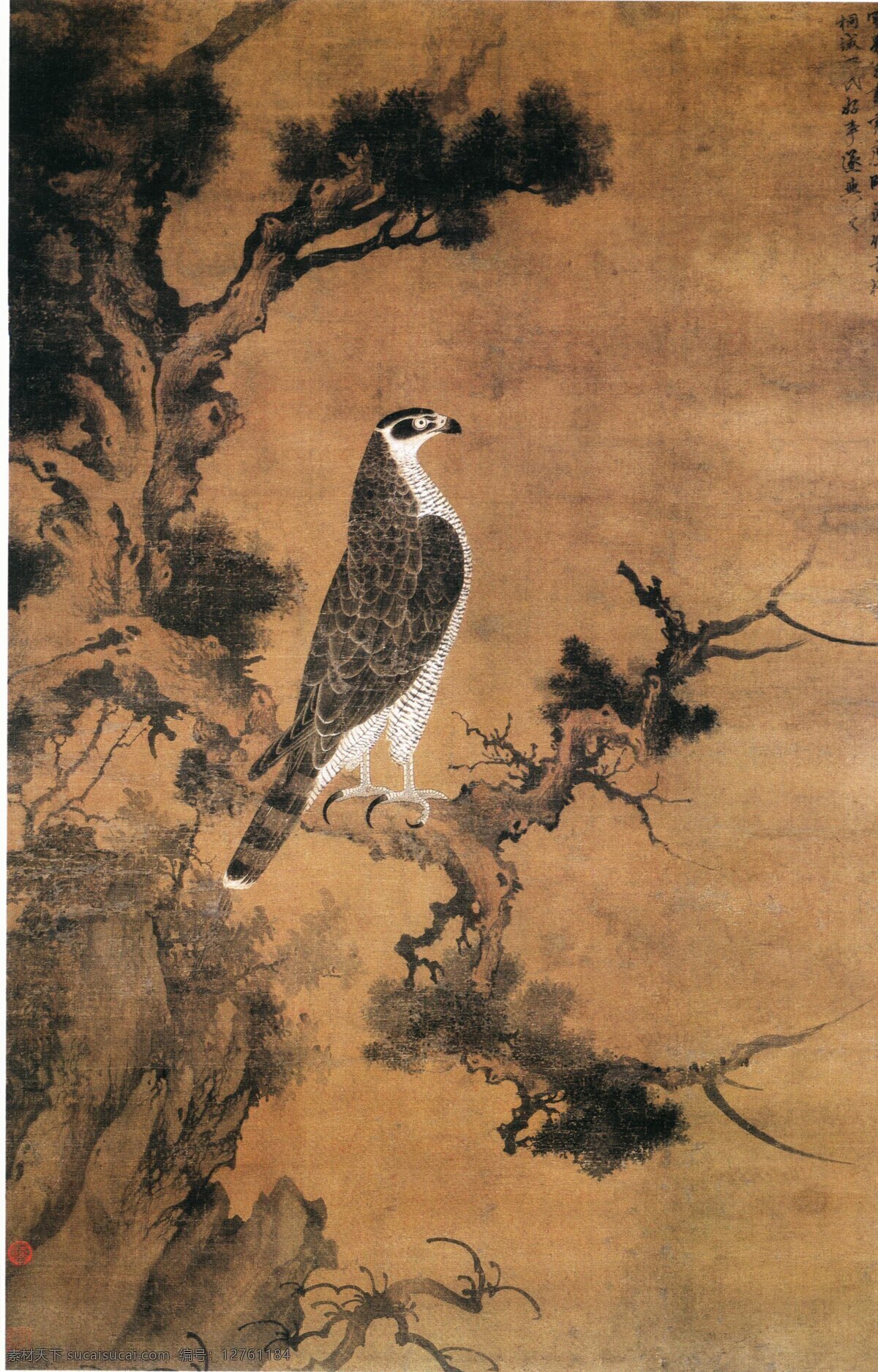 中国 传世 名画 雕 花鸟画 松树 中国传世名画 古典花鸟画 文化艺术