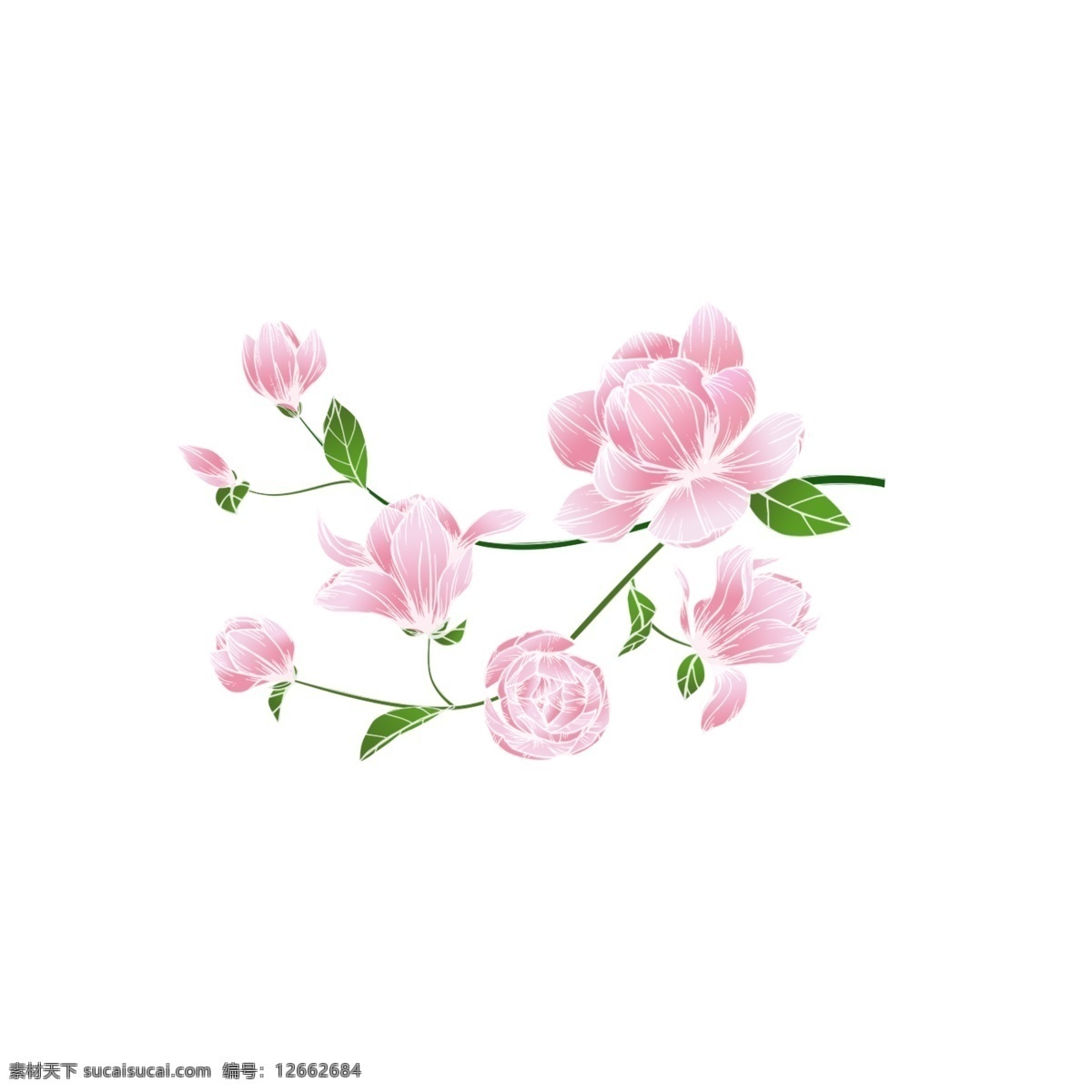卡通 粉色 花朵 装饰 粉红色植物 花朵装饰物 边框装饰花朵