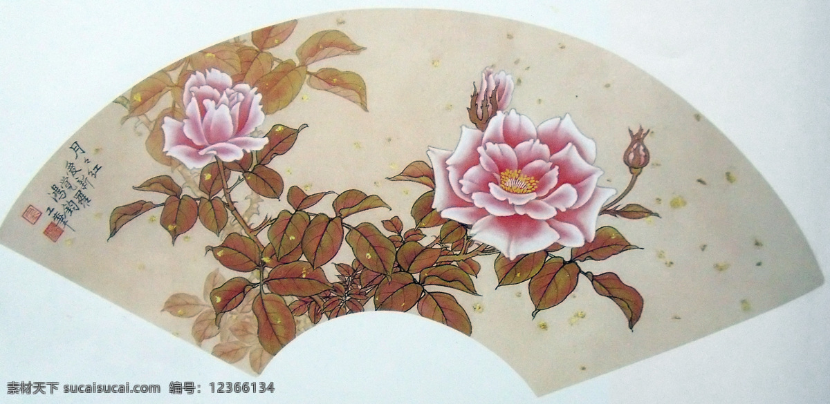 国画 花卉 植物 扇面国画 水墨花卉植物 中国画 绘画艺术 水墨画 装饰画 中堂画 书画文字 文化艺术