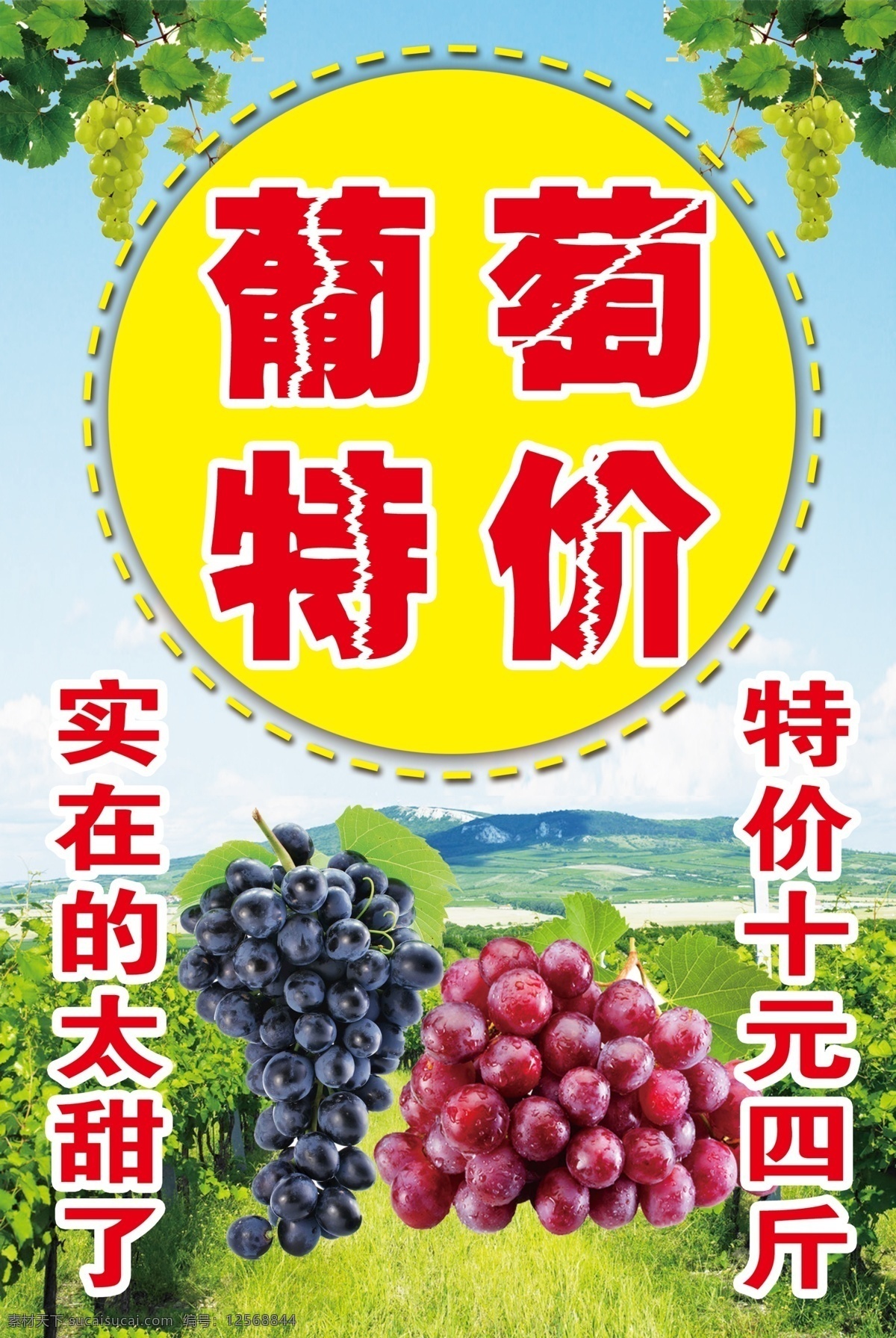 葡萄海报 葡萄特价 葡萄园 葡萄可甜了 葡萄喷绘