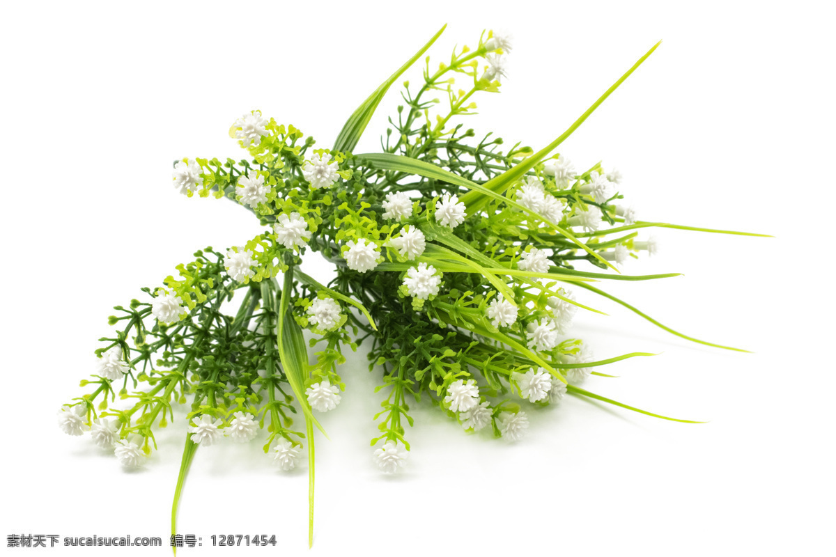清新 绿色植物 花束 植物 花朵 实物摄影 产品摄影 生活百科 生活素材