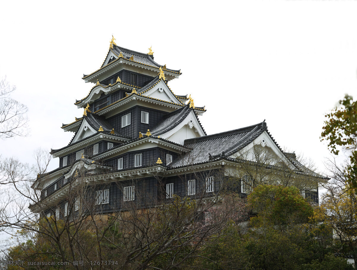 日本城堡 日本 城堡 室外 天空 小山 树木 秋天 人文景观 旅游摄影